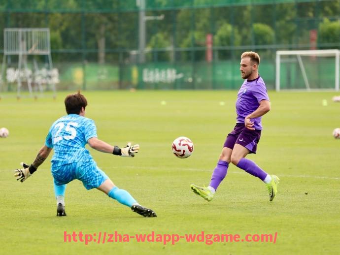 问鼎娱乐官网-世俱杯后场逼抢触发次数与反击机会之间的动态关系分析