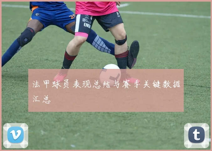 法甲球员表现总结与赛季关键数据汇总