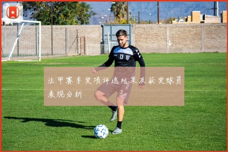 法甲赛季奖项评选结果及获奖球员表现分析