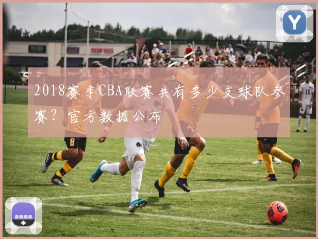 2018赛季CBA联赛共有多少支球队参赛？官方数据公布