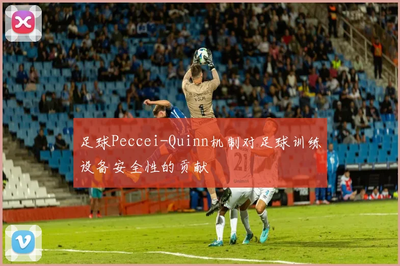 足球Peccei-Quinn机制对足球训练设备安全性的贡献