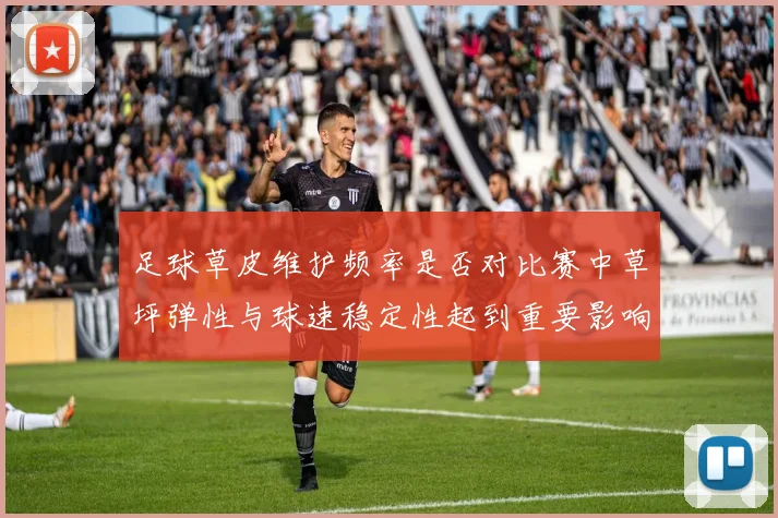 足球草皮维护频率是否对比赛中草坪弹性与球速稳定性起到重要影响